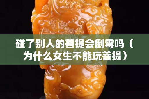 碰了别人的菩提会倒霉吗（为什么女生不能玩菩提）