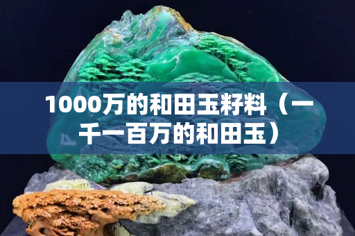 1000万的和田玉籽料（一千一百万的和田玉）