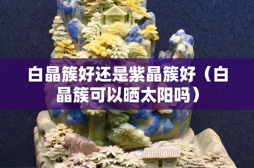 白晶簇好还是紫晶簇好（白晶簇可以晒太阳吗）