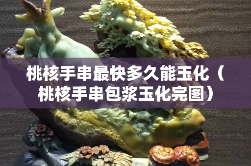 桃核手串最快多久能玉化（桃核手串包浆玉化完图）