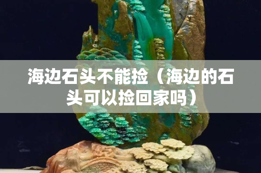 海边石头不能捡（海边的石头可以捡回家吗）