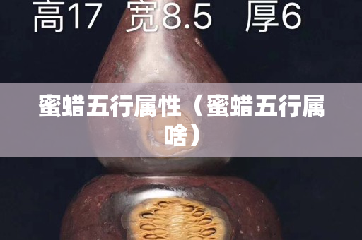 蜜蜡五行属性（蜜蜡五行属啥）