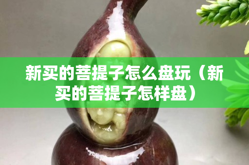 新买的菩提子怎么盘玩（新买的菩提子怎样盘）