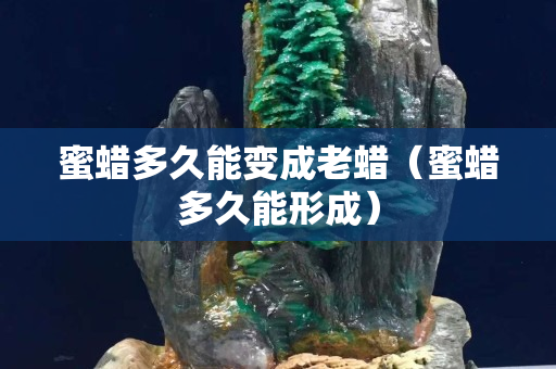 蜜蜡多久能变成老蜡（蜜蜡多久能形成）