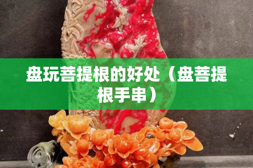 盘玩菩提根的好处（盘菩提根手串）