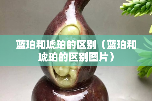 蓝珀和琥珀的区别（蓝珀和琥珀的区别图片）