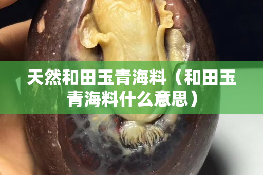 天然和田玉青海料（和田玉青海料什么意思）
