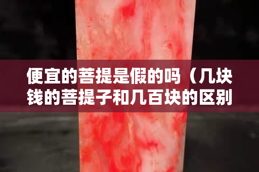 便宜的菩提是假的吗（几块钱的菩提子和几百块的区别）
