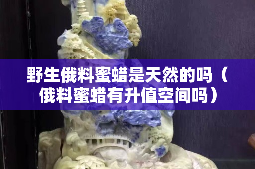野生俄料蜜蜡是天然的吗（俄料蜜蜡有升值空间吗）