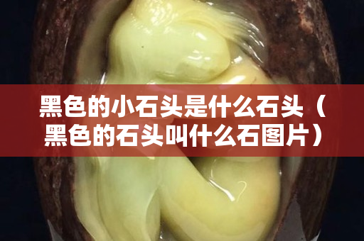 黑色的小石头是什么石头（黑色的石头叫什么石图片）