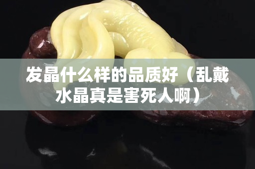 发晶什么样的品质好（乱戴水晶真是害死人啊）