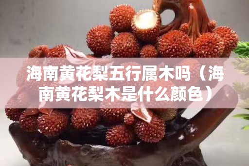 海南黄花梨五行属木吗（海南黄花梨木是什么颜色）