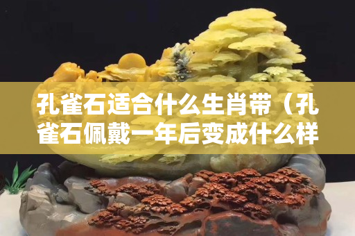 孔雀石适合什么生肖带（孔雀石佩戴一年后变成什么样）