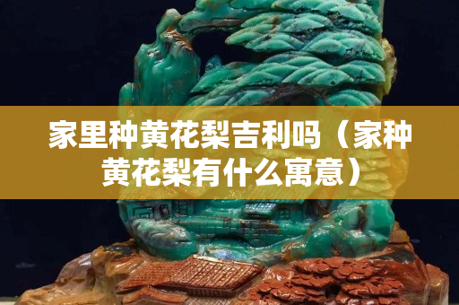家里种黄花梨吉利吗（家种黄花梨有什么寓意）