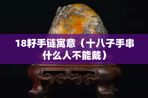 18籽手链寓意（十八子手串什么人不能戴）