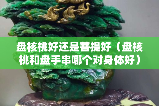 盘核桃好还是菩提好（盘核桃和盘手串哪个对身体好）