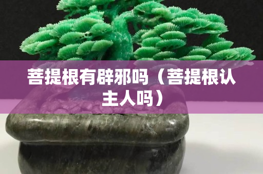 菩提根有辟邪吗（菩提根认主人吗）