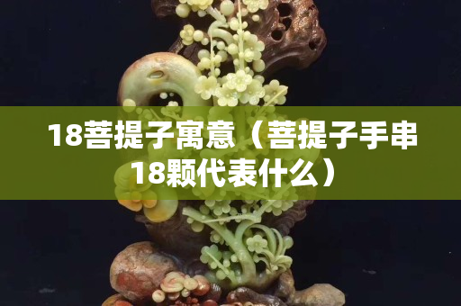 18菩提子寓意（菩提子手串18颗代表什么）