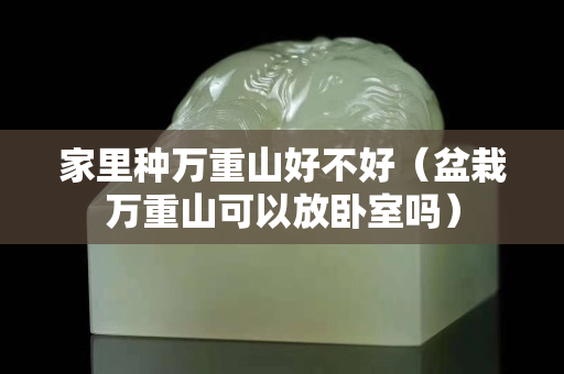 家里种万重山好不好（盆栽万重山可以放卧室吗）