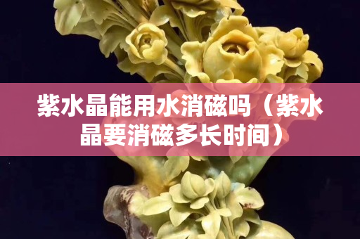 紫水晶能用水消磁吗（紫水晶要消磁多长时间）