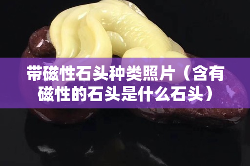 带磁性石头种类照片（含有磁性的石头是什么石头）
