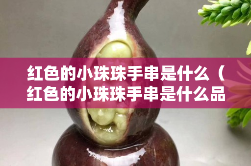 红色的小珠珠手串是什么（红色的小珠珠手串是什么品种）
