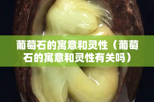 葡萄石的寓意和灵性（葡萄石的寓意和灵性有关吗）