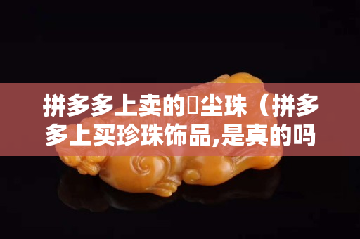 拼多多上卖的雮尘珠（拼多多上买珍珠饰品,是真的吗）