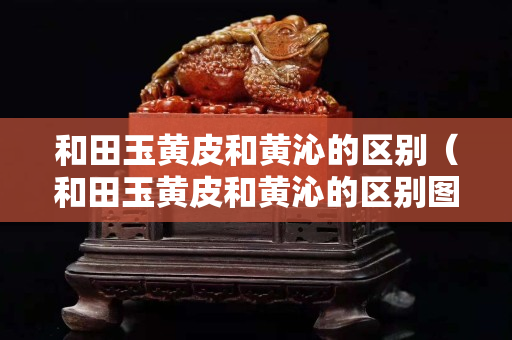 和田玉黄皮和黄沁的区别（和田玉黄皮和黄沁的区别图片）