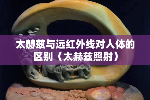 太赫兹与远红外线对人体的区别（太赫兹照射）