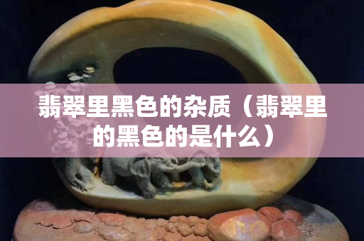 翡翠里黑色的杂质（翡翠里的黑色的是什么）
