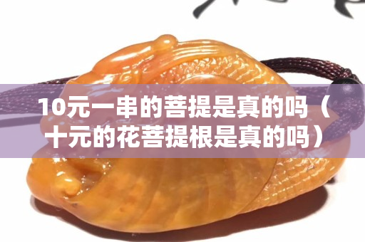 10元一串的菩提是真的吗（十元的花菩提根是真的吗）