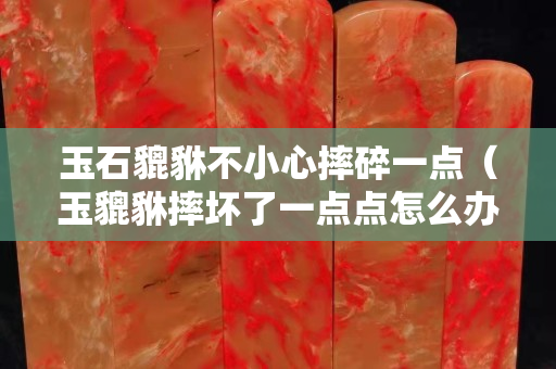 玉石貔貅不小心摔碎一点（玉貔貅摔坏了一点点怎么办）