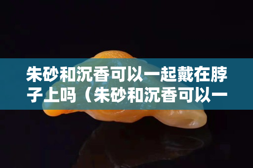 朱砂和沉香可以一起戴在脖子上吗（朱砂和沉香可以一起戴在脖子上吗）