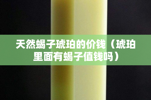 天然蝎子琥珀的价钱（琥珀里面有蝎子值钱吗）