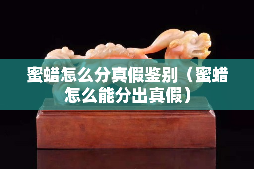 蜜蜡怎么分真假鉴别（蜜蜡怎么能分出真假）