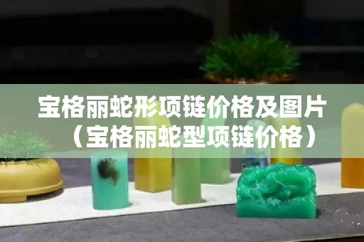 宝格丽蛇形项链价格及图片（宝格丽蛇型项链价格）