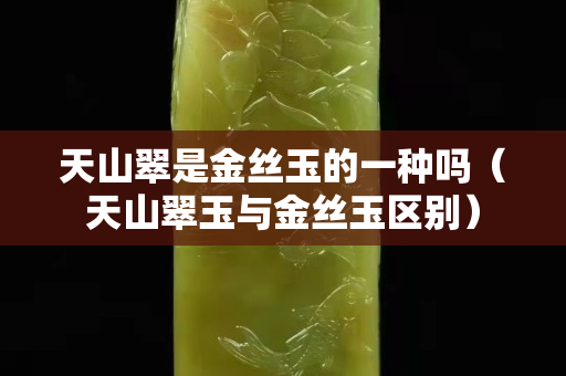天山翠是金丝玉的一种吗（天山翠玉与金丝玉区别）
