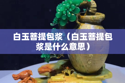 白玉菩提包浆（白玉菩提包浆是什么意思）