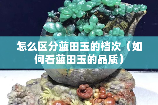 怎么区分蓝田玉的档次（如何看蓝田玉的品质）