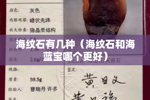 海纹石有几种（海纹石和海蓝宝哪个更好）