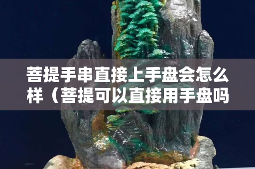 菩提手串直接上手盘会怎么样（菩提可以直接用手盘吗）