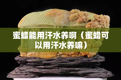 蜜蜡能用汗水养啊（蜜蜡可以用汗水养嘛）