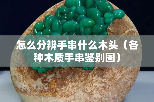 怎么分辨手串什么木头（各种木质手串鉴别图）