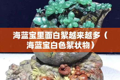 海蓝宝里面白絮越来越多（海蓝宝白色絮状物）