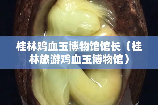 桂林鸡血玉博物馆馆长（桂林旅游鸡血玉博物馆）