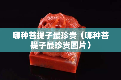 哪种菩提子最珍贵（哪种菩提子最珍贵图片）