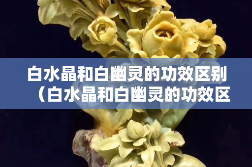 白水晶和白幽灵的功效区别（白水晶和白幽灵的功效区别是什么）
