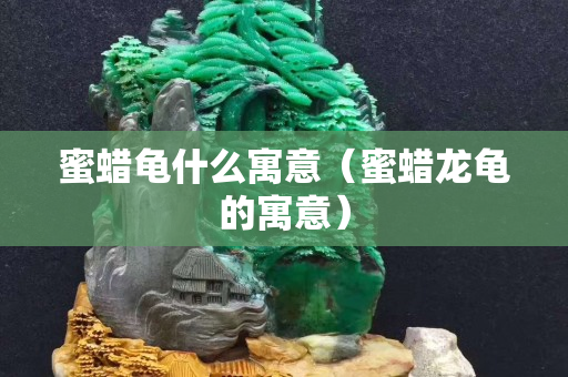 蜜蜡龟什么寓意（蜜蜡龙龟的寓意）
