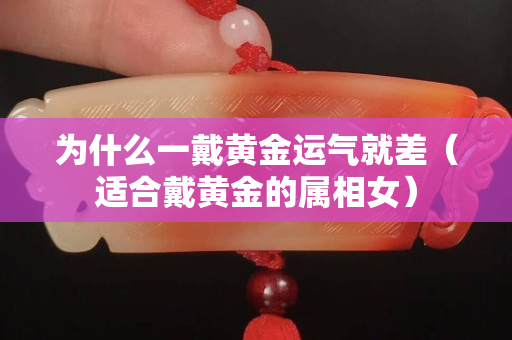 为什么一戴黄金运气就差（适合戴黄金的属相女）